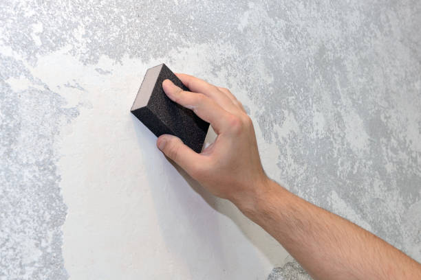 Best Black Mold Removal  in Forest Lake, IL