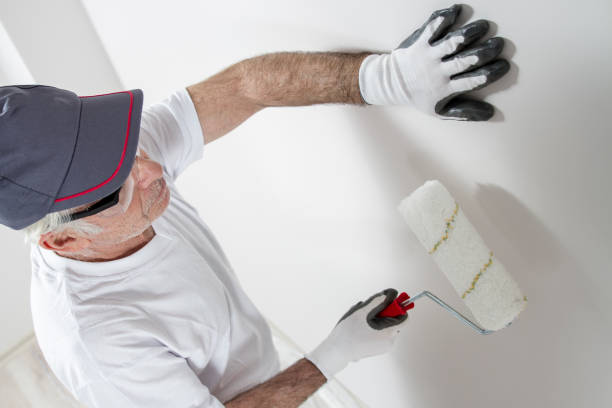 Best HVAC Mold Inspection and Cleaning  in Forest Lake, IL