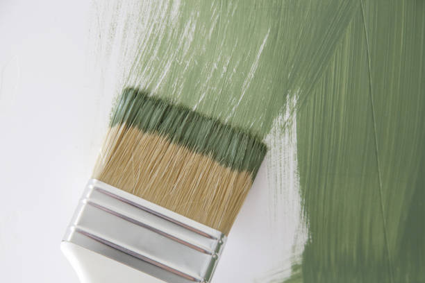 Best Mold Odor Removal Services  in Forest Lake, IL