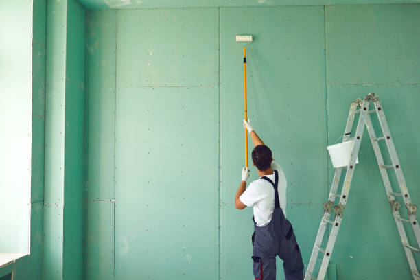 Best Asbestos and Lead Testing During Mold Inspection  in Forest Lake, IL