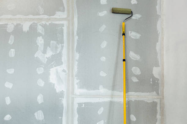 Best Post-Remediation Verification Testing  in Forest Lake, IL
