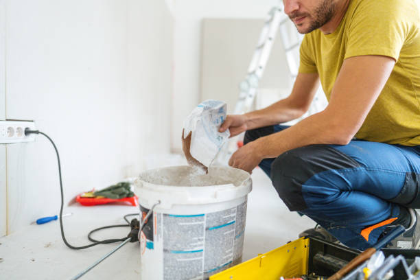 Best Mold Odor Removal Services  in Forest Lake, IL
