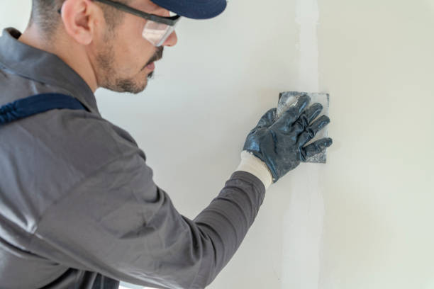 Trusted Forest Lake, IL Mold Removal Experts