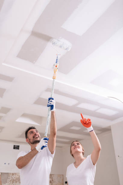 Best Commercial Mold Inspection  in Forest Lake, IL