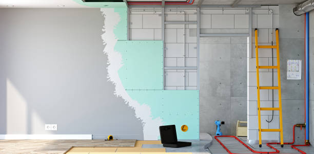 Best Biohazard Mold Removal  in Forest Lake, IL