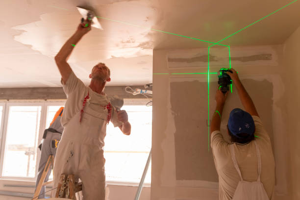 Best Emergency Mold Remediation  in Forest Lake, IL