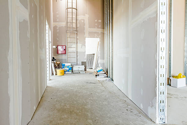 Best Attic Mold Removal  in Forest Lake, IL