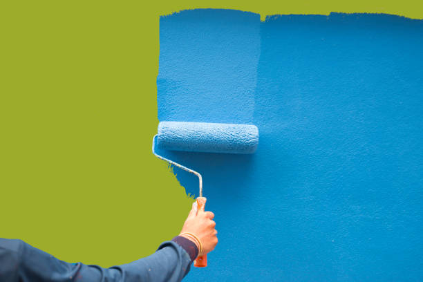 Mold Remediation for Vacation Homes in Forest Lake, IL