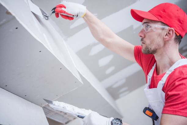 Best Crawl Space Mold Remediation  in Forest Lake, IL