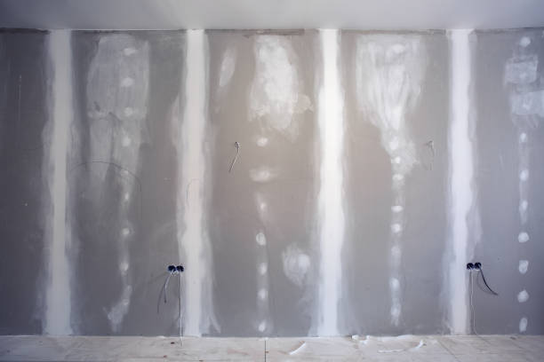 Biohazard Mold Removal in Forest Lake, IL